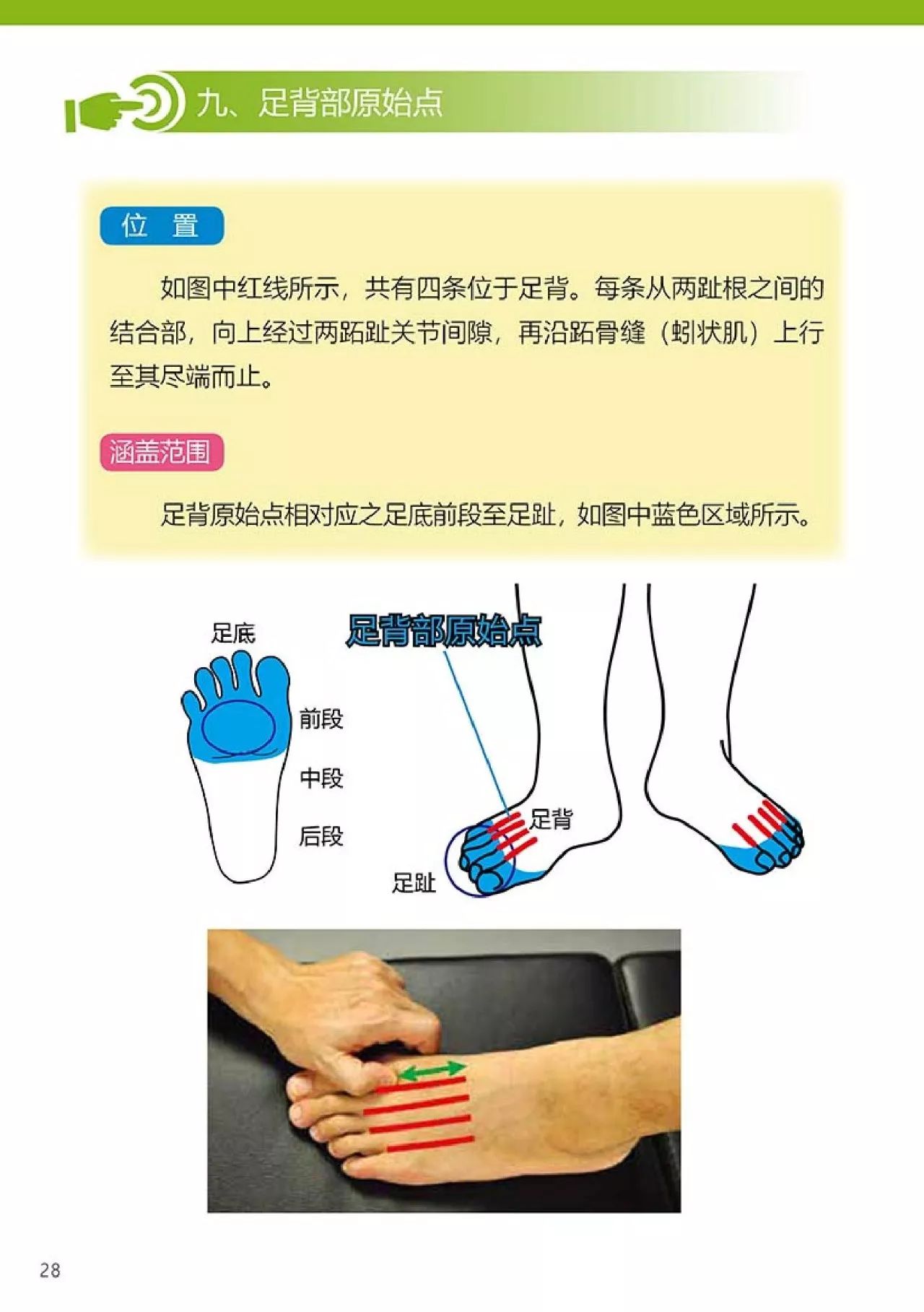 原始点健康手册（第四版）（简体版）