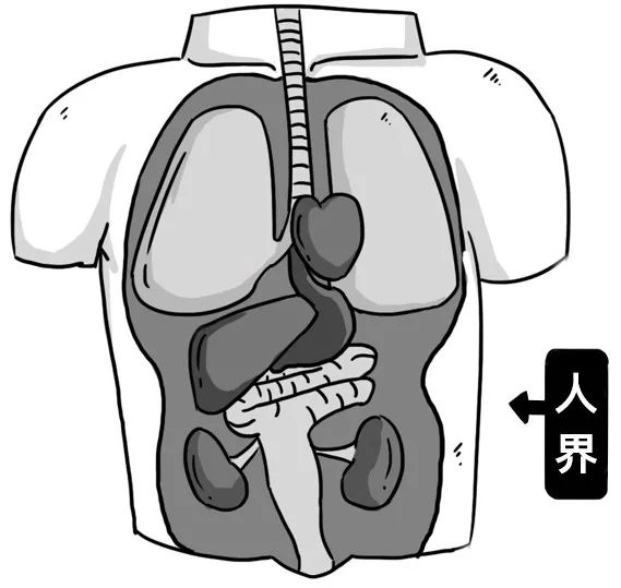 不瞒你说，痔疮，其实是个神仙下凡的故事。--趣文