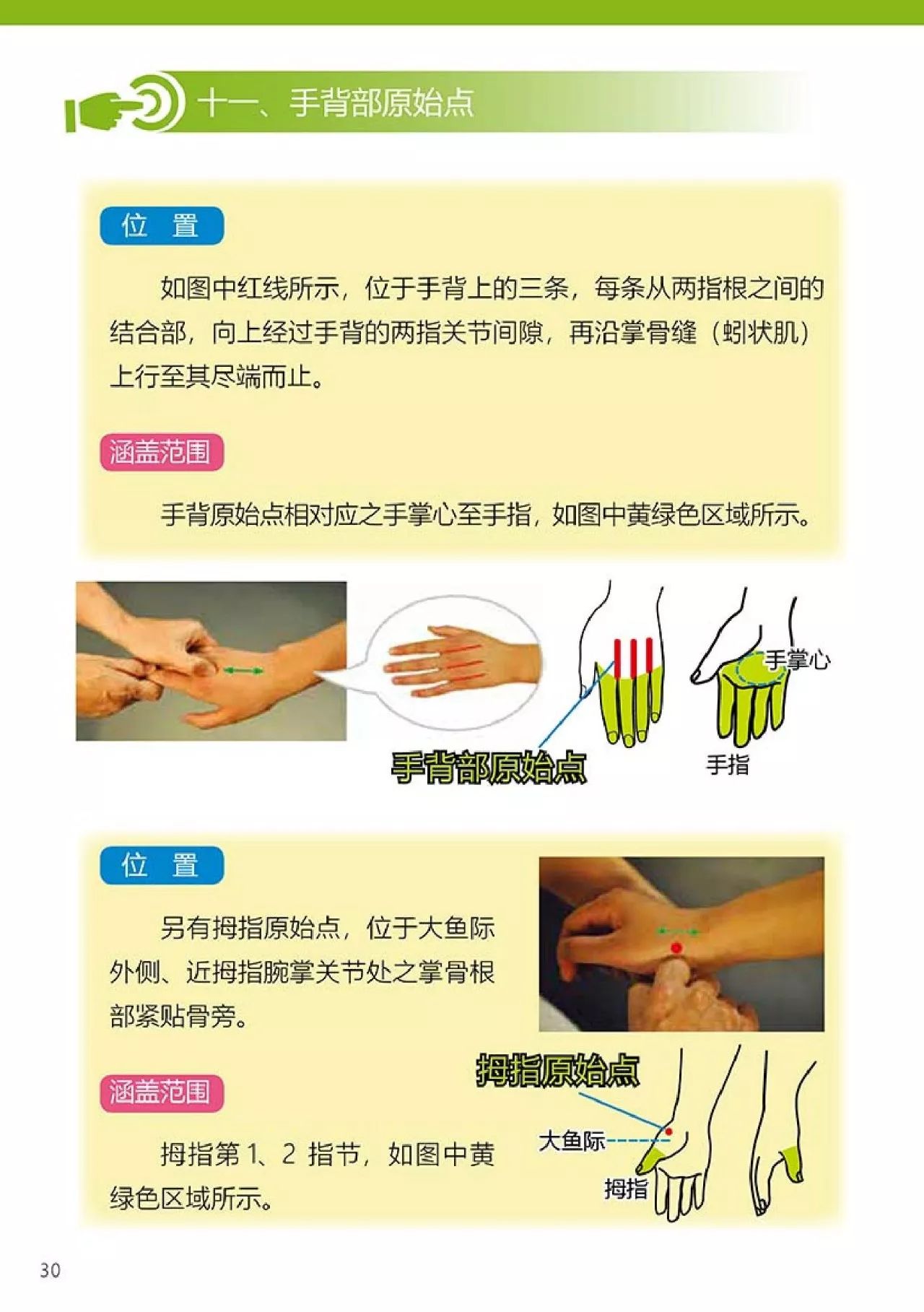 原始点健康手册（第四版）（简体版）