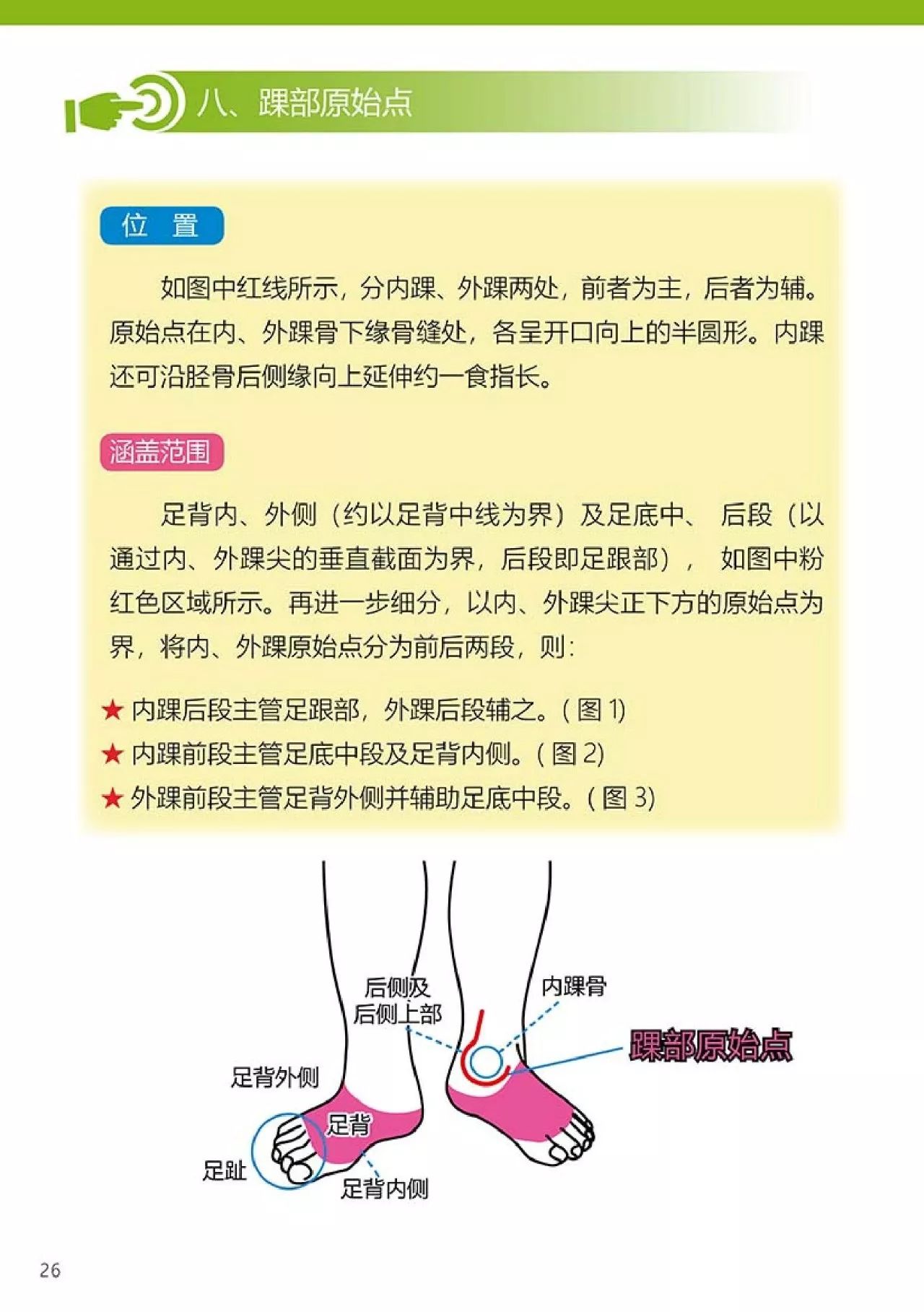 原始点健康手册（第四版）（简体版）