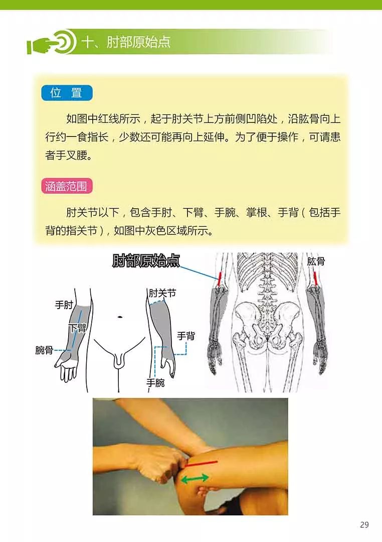 原始点健康手册（第五版）（简体版）