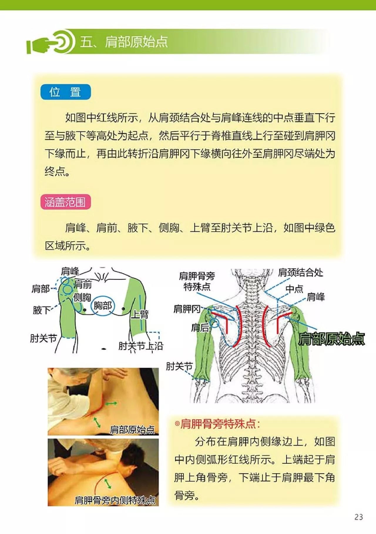 原始点健康手册（第四版）（简体版）