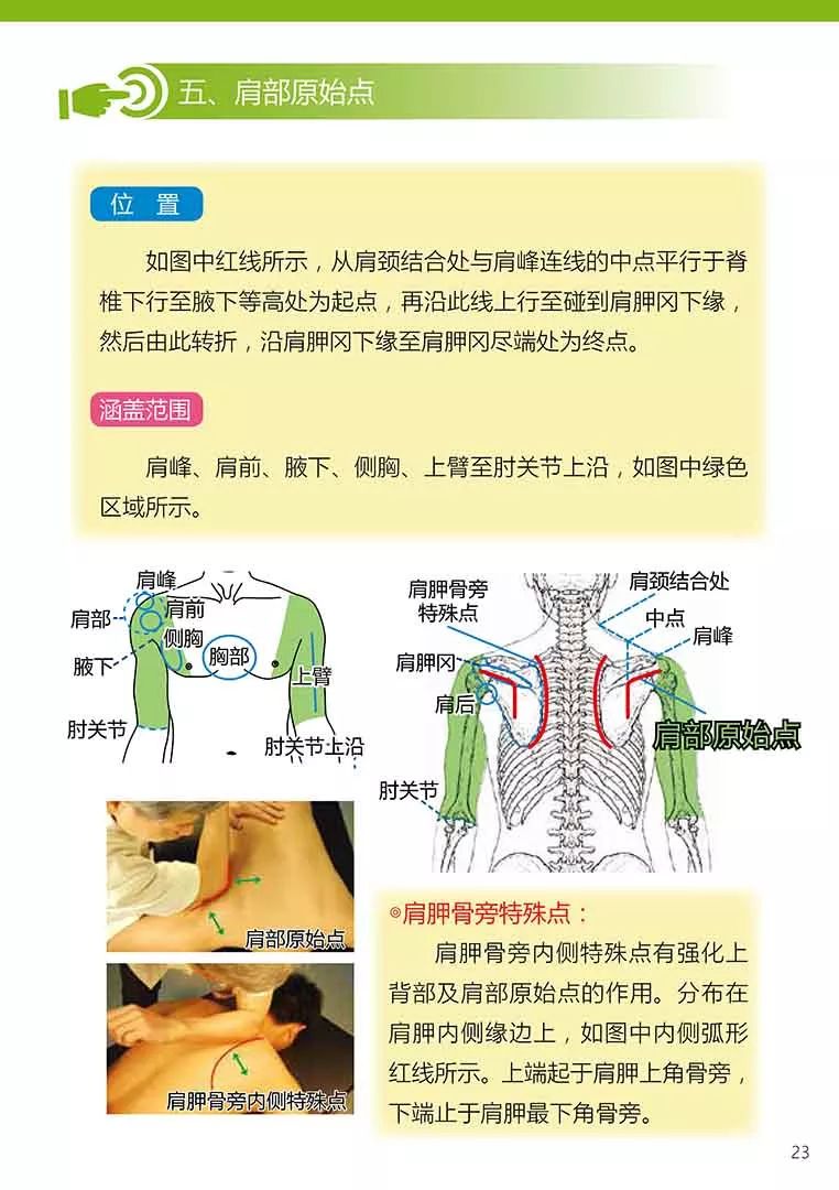 原始点健康手册（第五版）（简体版）