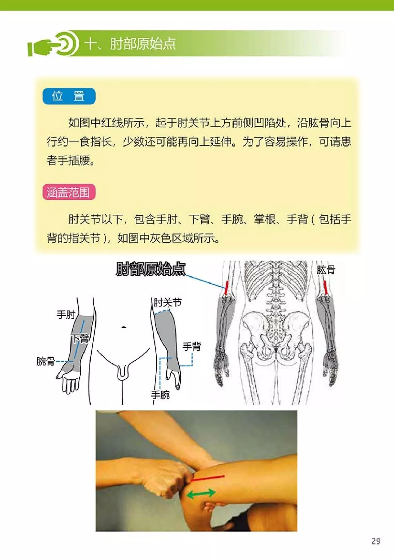 原始点健康手册（第四版）（简体版）