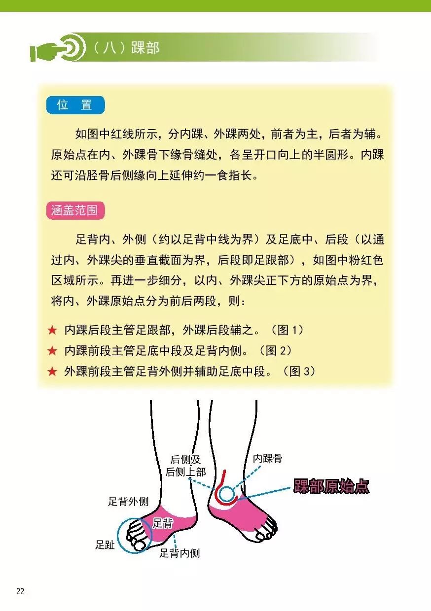 2017.6原始点健康手册