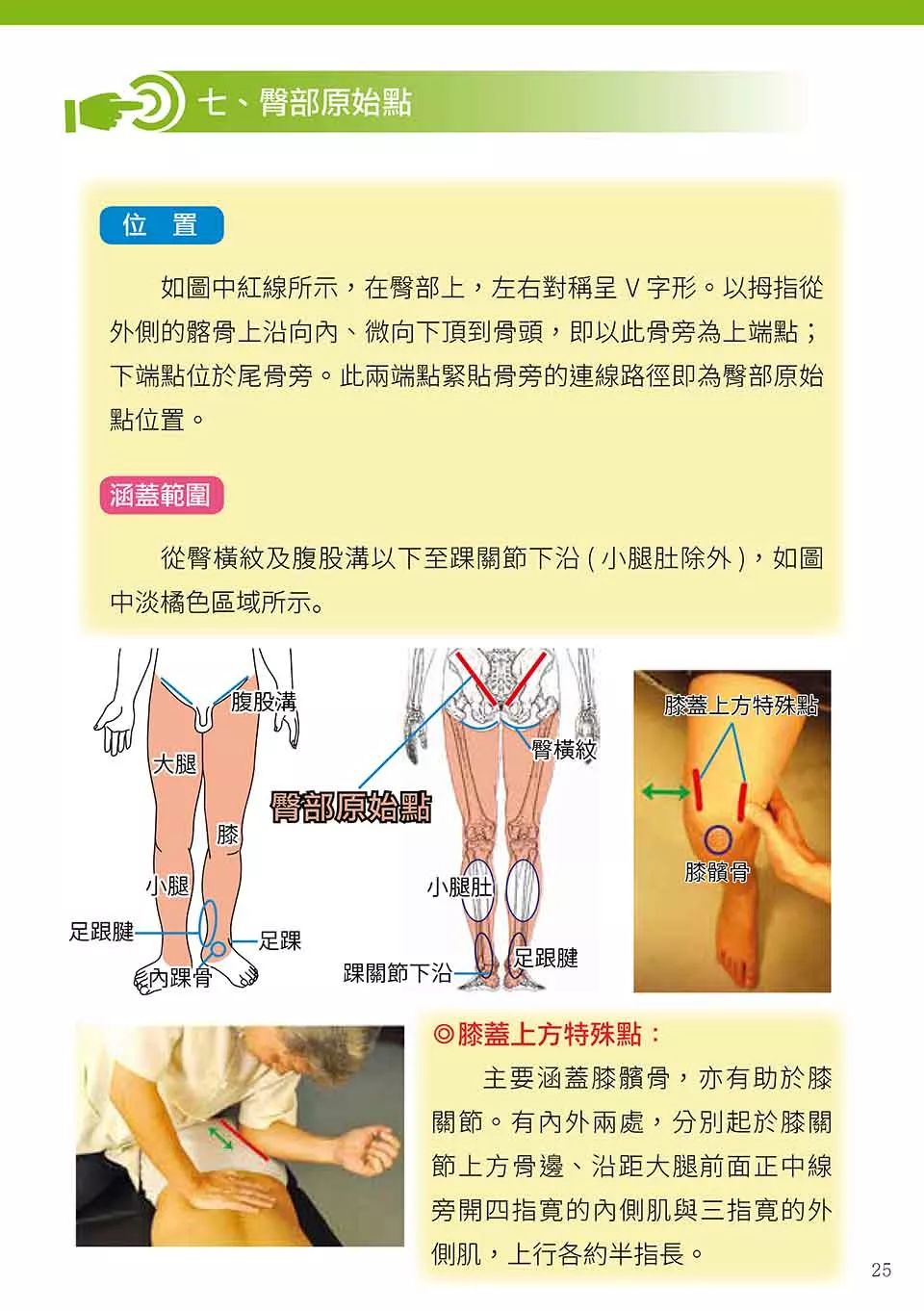 原始点健康手册(繁体第五版）