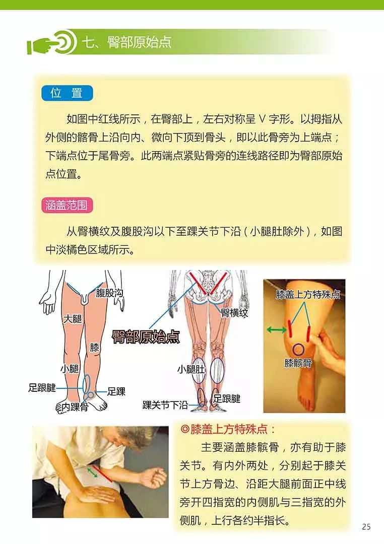 原始点健康手册（第五版）（简体版）