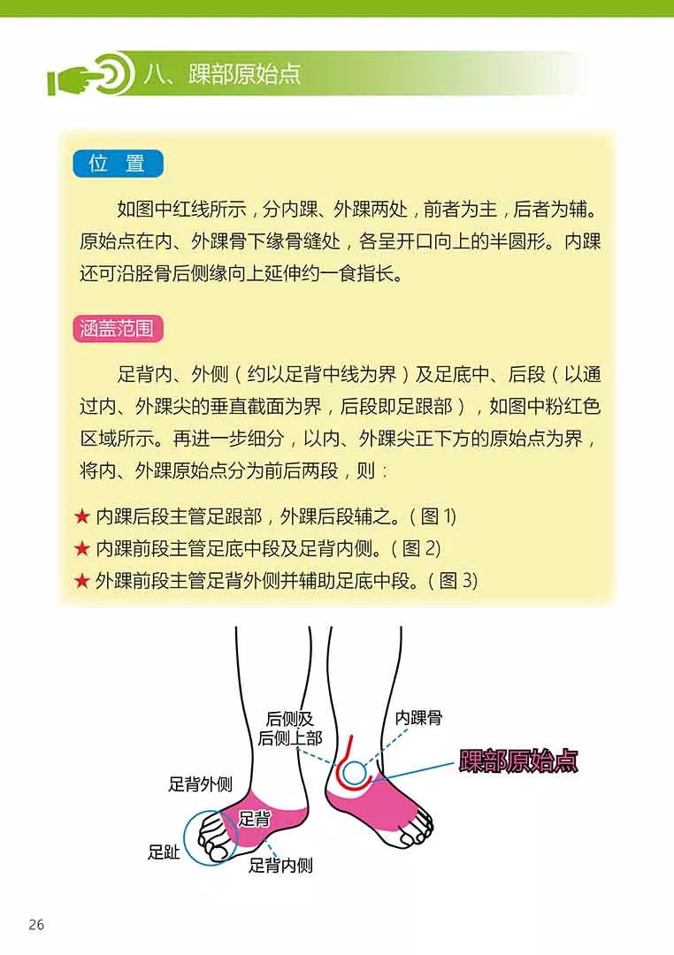 原始点健康手册（第五版）（简体版）