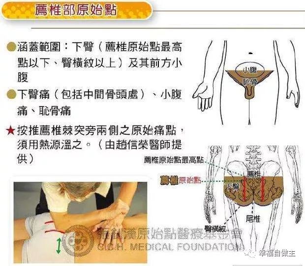 妇科疾病及妇科案例合集