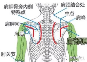 平台精华分类汇总！