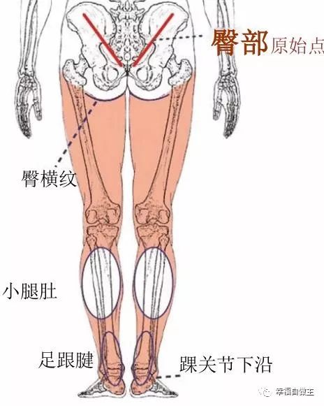 平台精华分类汇总！