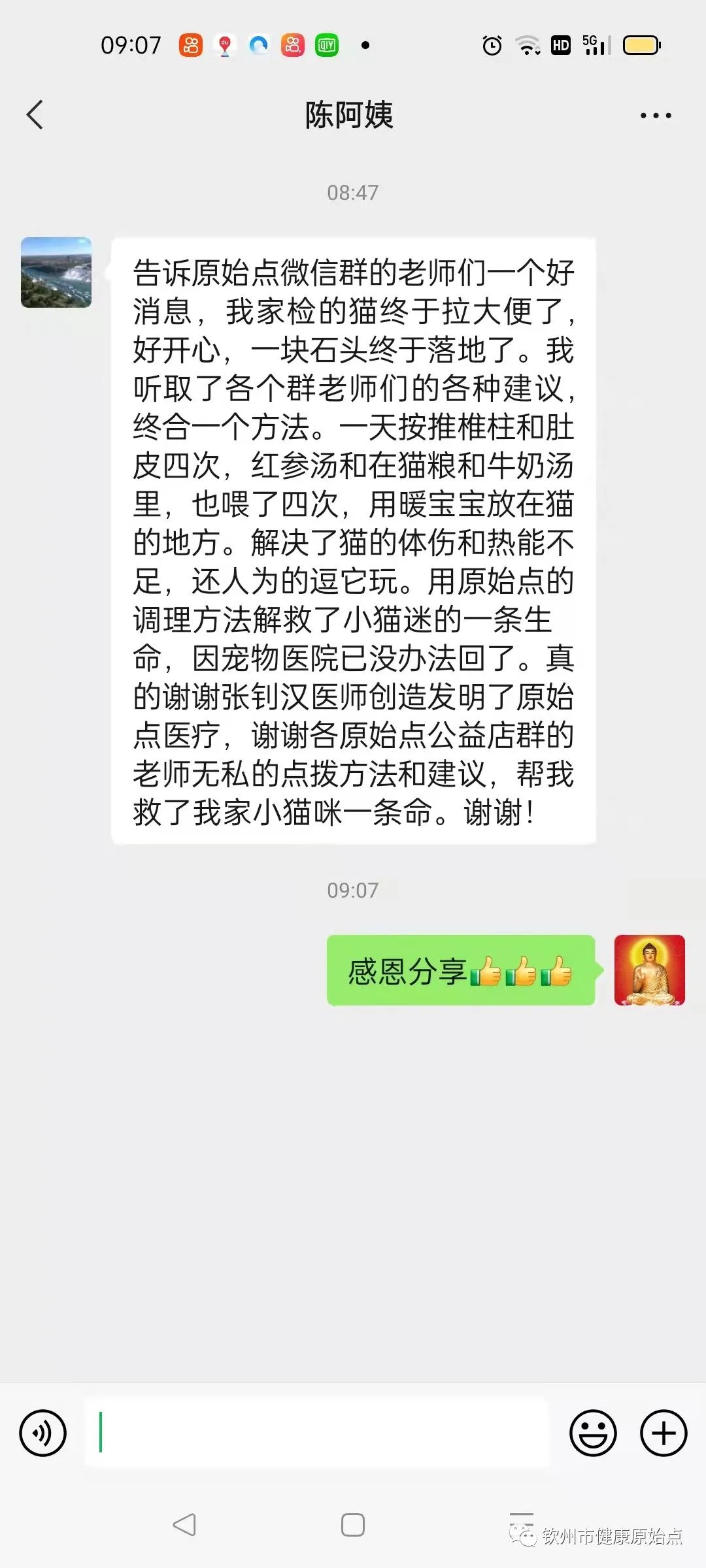 小猫咪便秘六天案例