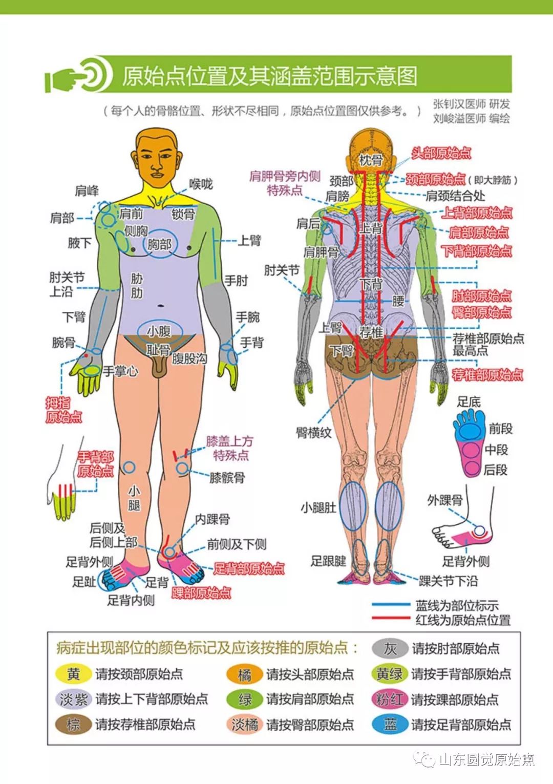 十几年头痛的案例