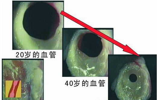 西医无法解释的真相，这里终于说透了(收藏)