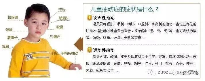 案例分享：小孩抽动症调理案例