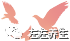 案例分享：８０岁老人调理２０年腰痛、失眠、高血压、水肿等多症状调理案例