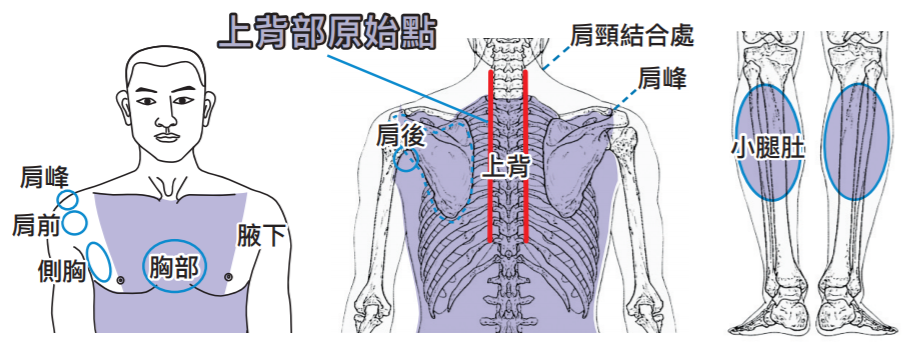 14岁女孩急救奶奶案例