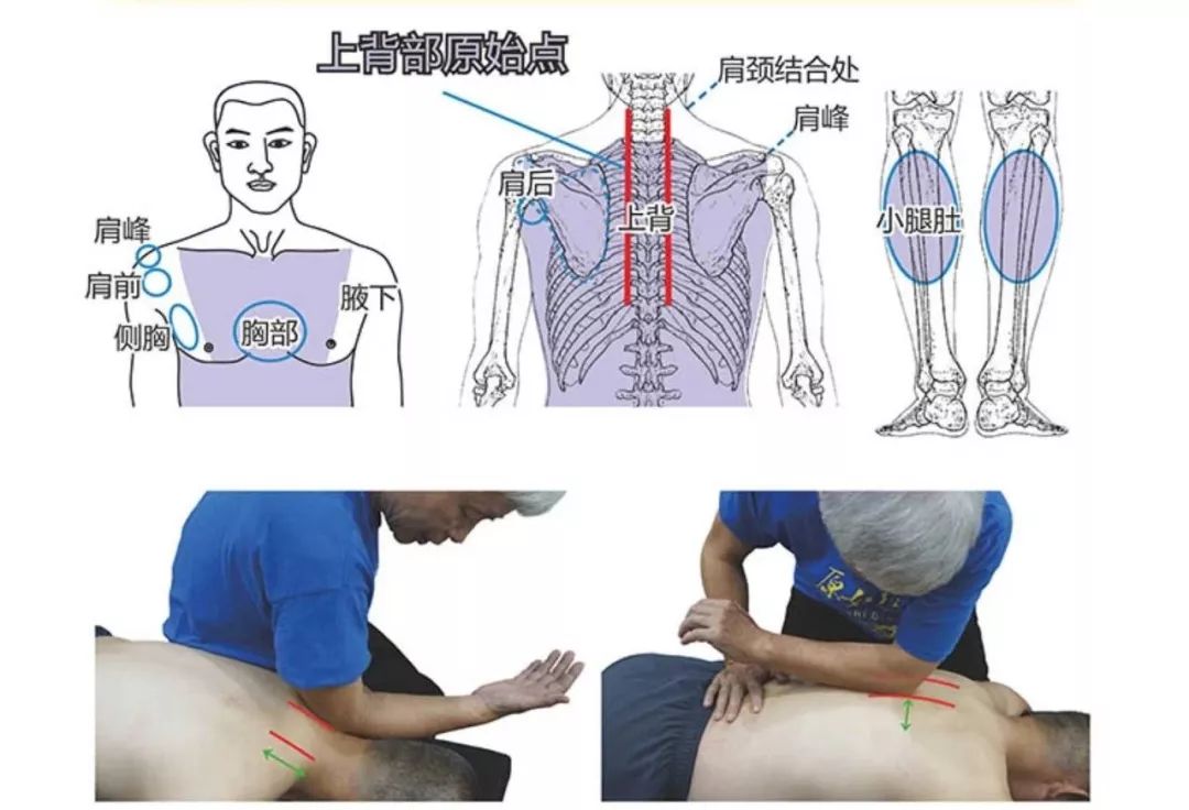 肺部疾病恢复案例 附操作方法！