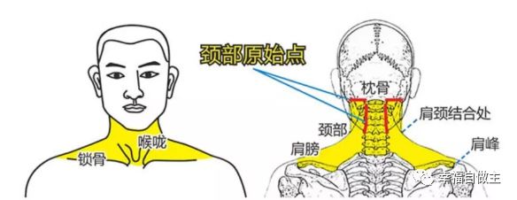 肺部疾病恢复案例 附操作方法！