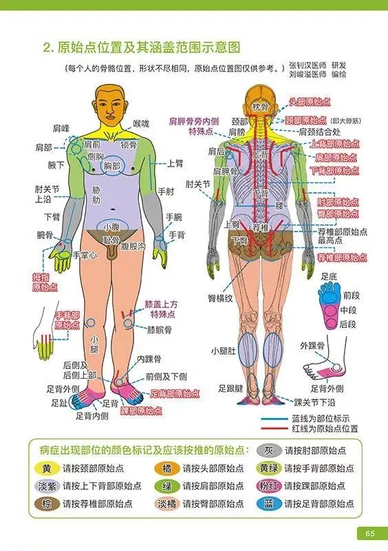 用思维导图5分钟了解原·始·点！