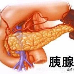 急性重症胰腺炎患者及康复过程-原始点全球同学网