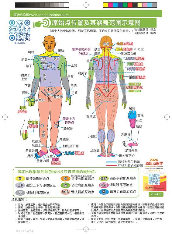 2024年最新高清人体图挂历下载 &  64GB U盘下载 学习视频  2024.6月-原始点全球同学网