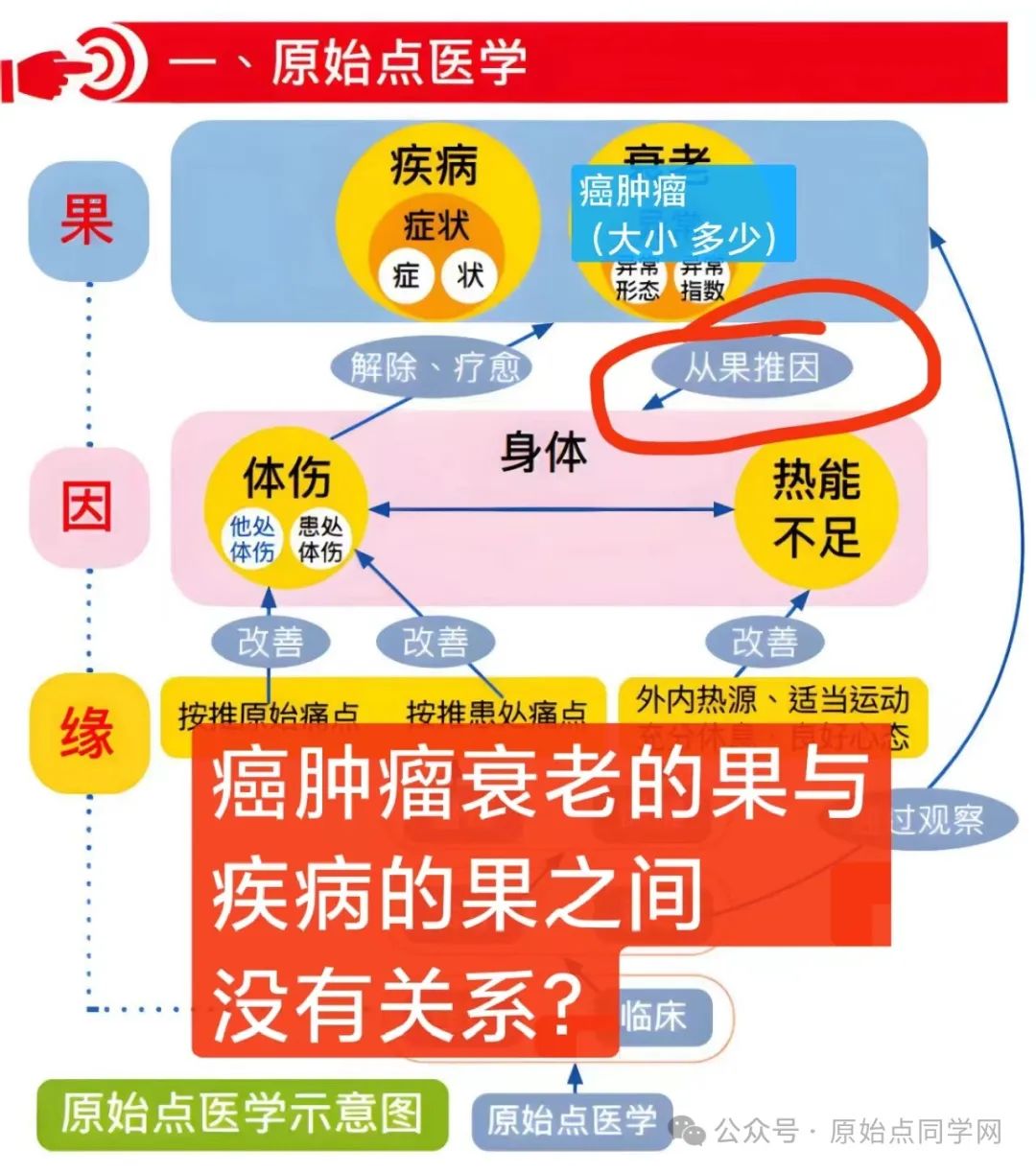 AI思考讨论（同学群）初学勿看 2024原始点课程 癌肿瘤和西医的思考和探索2024.11.03